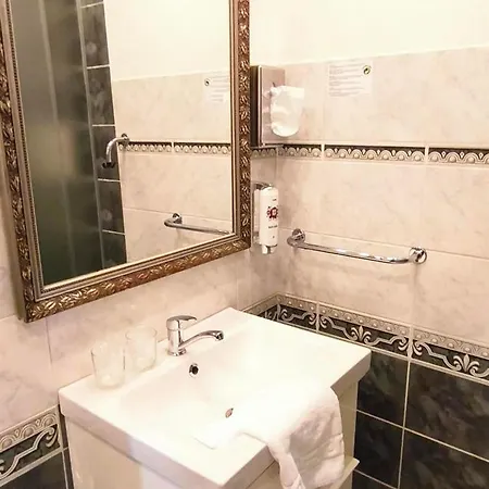 מלון Hotel Plzen