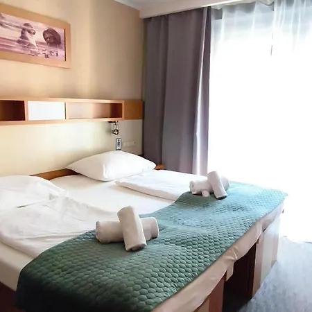 Hotel Plzen 3* פלזן