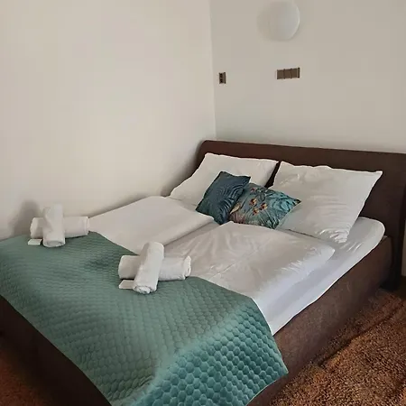Hotel Plzen מלון