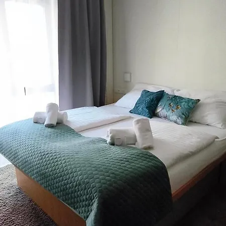 Hotel Plzen מלון פלזן