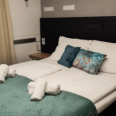מלון Hotel Plzen