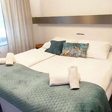 Hotel Plzen 3* פלזן