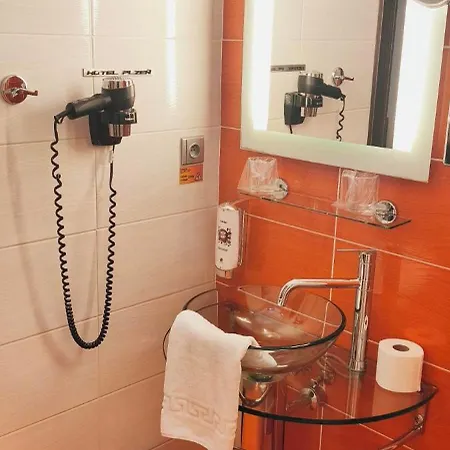 מלון Hotel Plzen