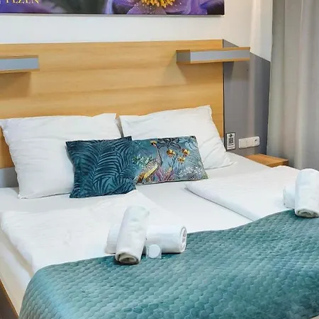 מלון Hotel Plzen 3*