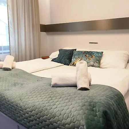 מלון Hotel Plzen